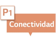 Dice "Conectividad" en el cuadro de texto.