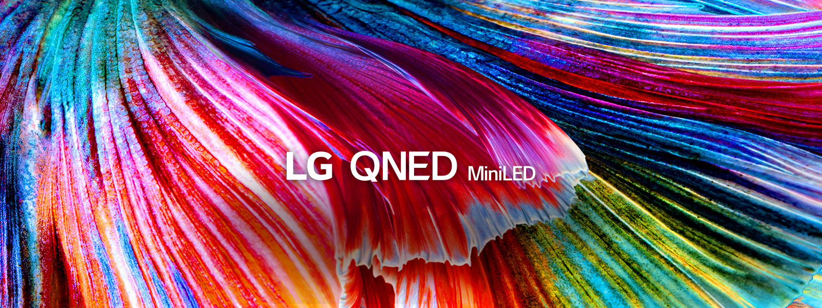 Toma en primer plano de ondas de colores brillantes en tonos de rojo, azul, verde y amarillo.