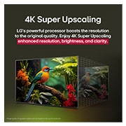 LG 65 pulgadas LG NanoCell AI NANO80 4K Smart TV 2025, Comparación de antes y , 65NANO80ASA, thumbnail 7