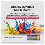 LG 43 pulgadas LG QNED AI QNED82 4K Smart TV 2025, Salpicaduras de pintura de diversos colores irrumpen desde el suelo hacia arriba. Certificación de Intertrek para 100% de volumen de color para DCI-P3. El título habla de la nueva y exclusiva tecnolog, 43QNED82ASG, thumbnail 5