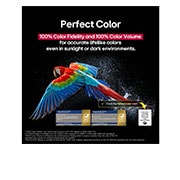 LG  55 pulgadas LG OLED AI B5 4K Smart TV 2025, Un loro colorido en ultra alta definición sobre un fondo negro. A su alrededor hay gotas de agua suspendidas en el aire. La imagen muestra un Color Perfecto, ya que cada tono diferente del cuerpo del , OLED55B5PSA, thumbnail 7