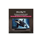 LG 55'' LG UHD AI UA80 AI 4K Smart TV 2025, LG TV con una pantalla impresionantemente grande montada en una pared encima de una LG Soundbar en una sala de estar de estilo moderno., 55UA8000PSB, thumbnail 8