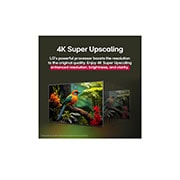 LG  55 pulgadas LG UHD AI UA85 AI 4K Smart TV 2025, Comparación de antes y después de cómo el superescalamiento 4K de LG mejora la calidad de la imagen. Dos paneles muestran la misma imagen de un pájaro colorido posado en una rama en el bosque, el pane, 55UA8550PSA, thumbnail 6