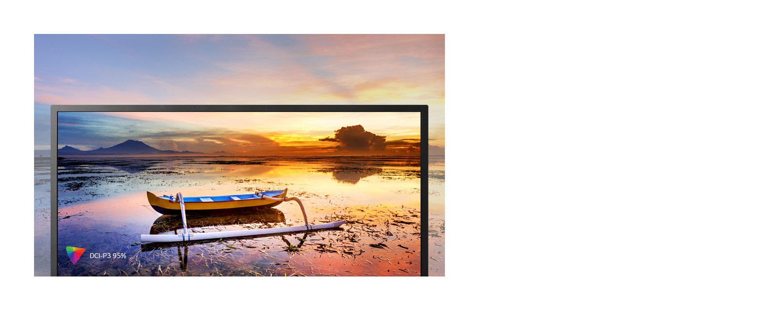 Värviruumi DCI-P3 taasesitus 95%1