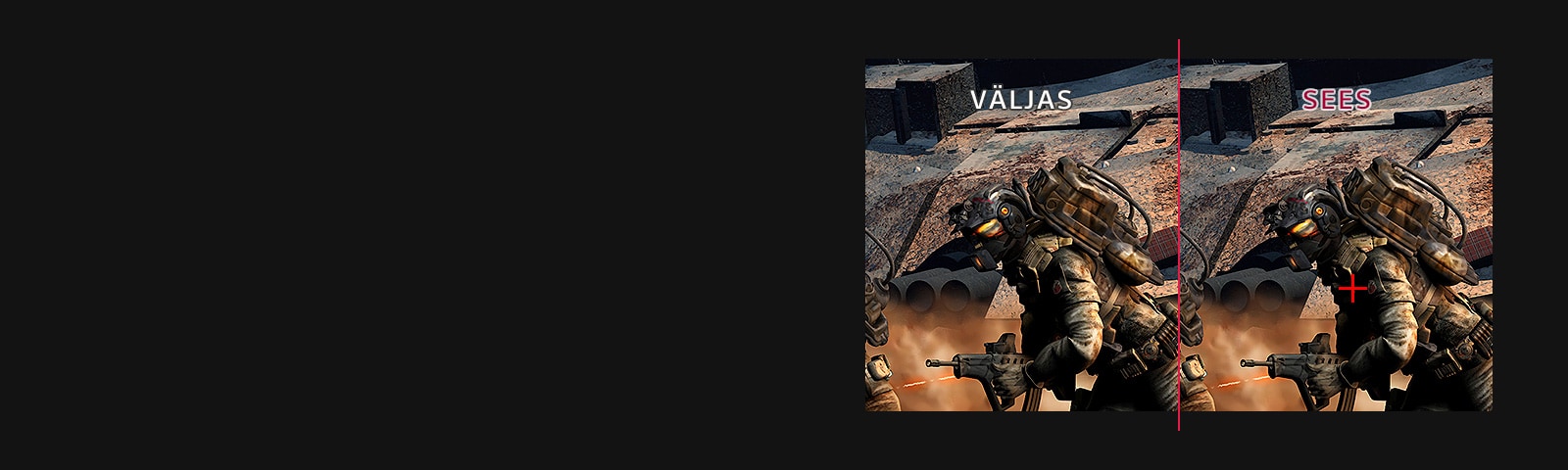 Sihikurist: VÄLJAS VS. SEES