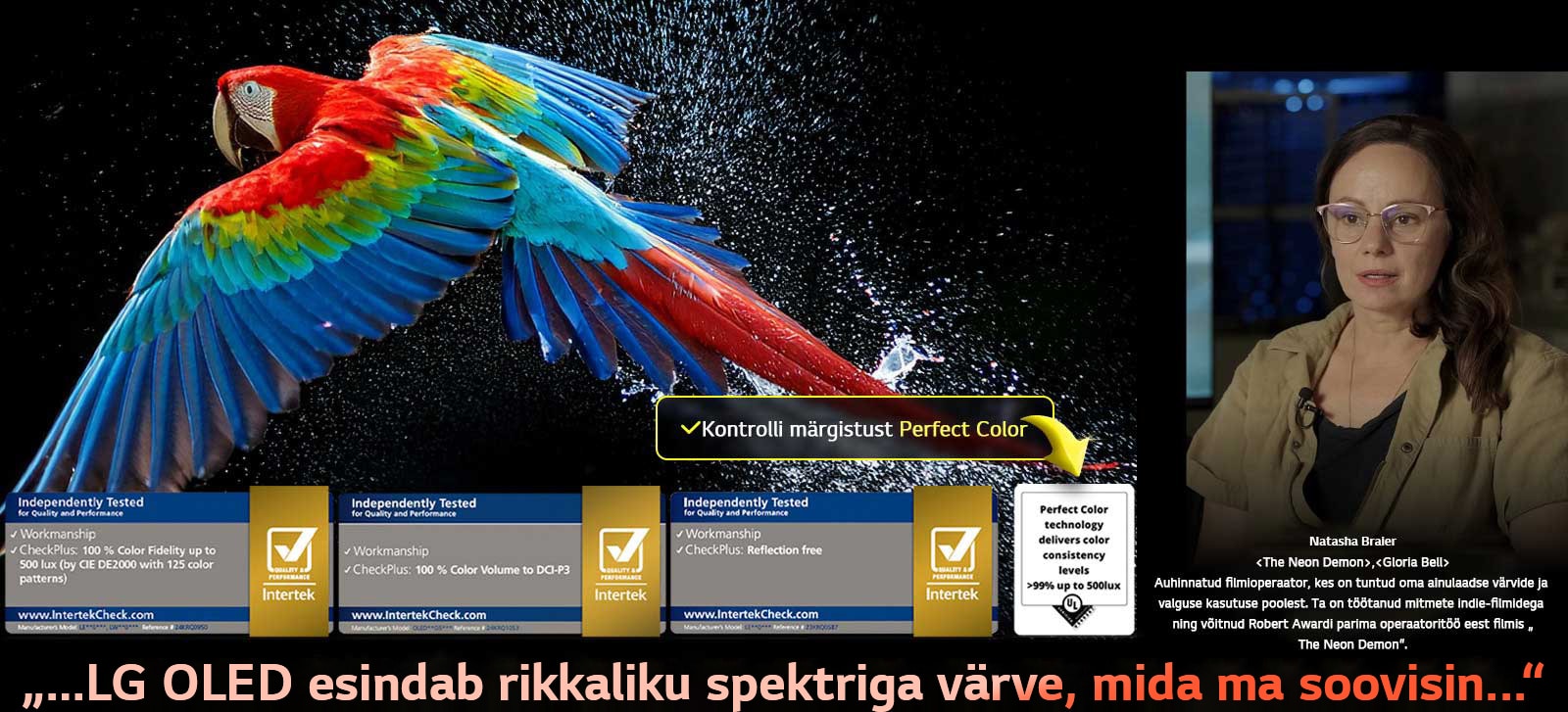 Ülikõrge eraldusvõimega värviline papagoi mustal taustal. Veepiisad hõljuvad tema ümber õhus. Kujutis demonstreerib Perfect Colori tehnoloogiat, kuna iga erinev papagoi kehal olev toon on elav ja ere. Tume taust detailsete veepiiskadega tõstab esile ka selle, et ekraan on peegeldusvaba. Nähtaval on erinevad UL-i ja Interteki sertifitseerimislogod. Need viitavad selle 100% värvitäpsusele, 100% värvimahule ja peegeldusvabale ekraanile. Nähtaval on ka tekst „kontrollige Perfect Colori tehnoloogia sertifitseerimismärki.“