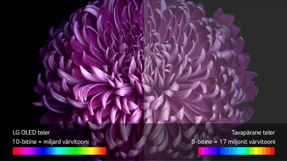 04_W7_A_Perfect-Color-on-Perfect-Black