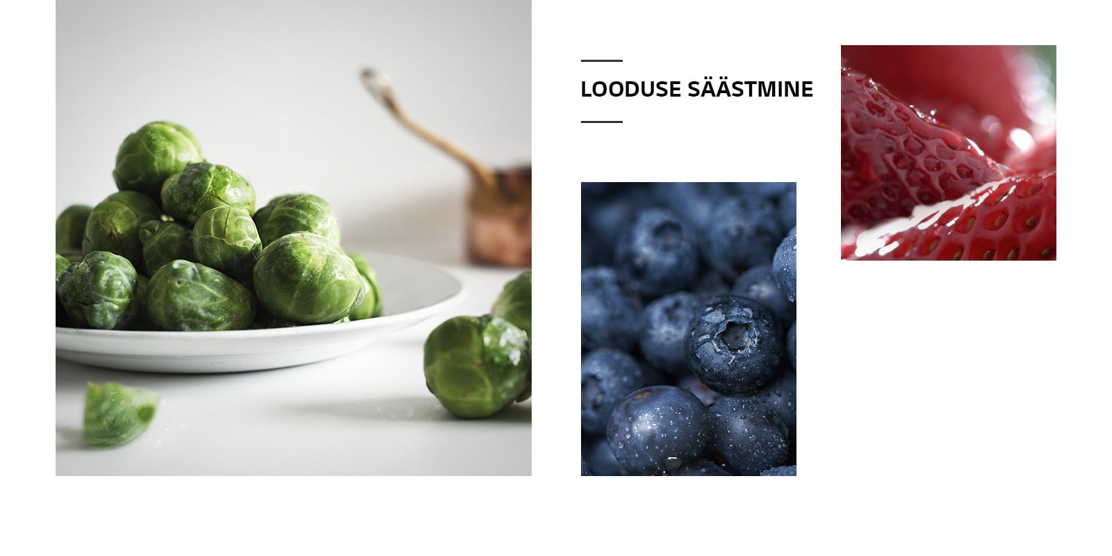 REF-NatureFRESH-Vplus-01-Story-03-Saving-Nature-D