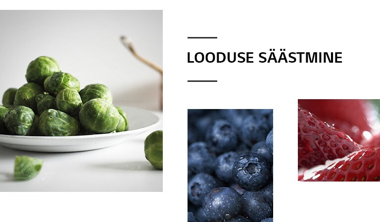 REF-NatureFRESH-Vplus-01-Story-03-Saving-Nature-M