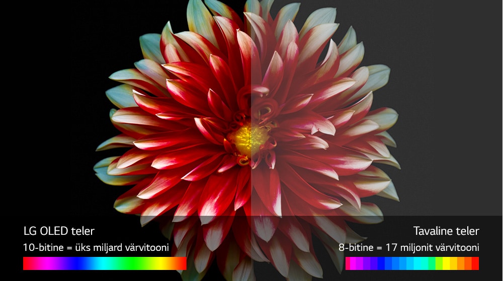 02_B7_A_Perfect-Color-on-Perfect-Black-(sub)