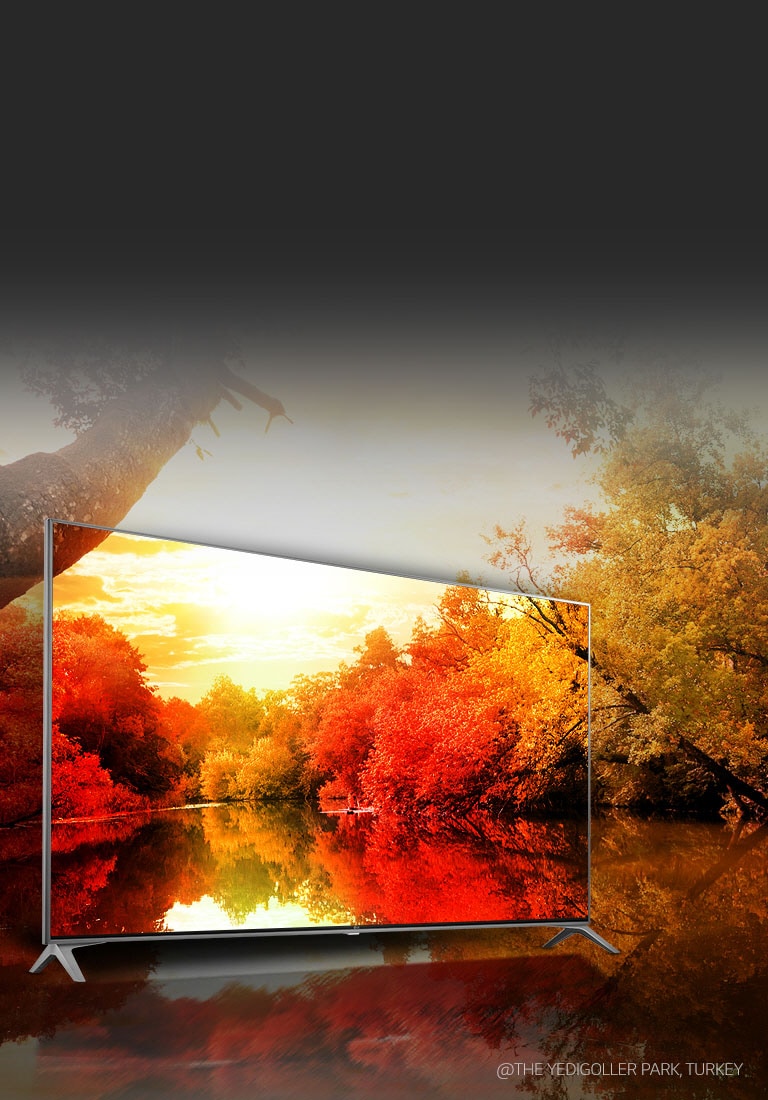 Miljardi rikkaliku tooniga muljetavaldavad värvid2