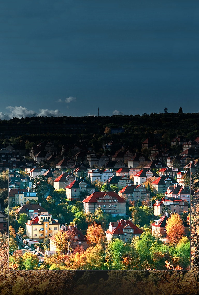 Nano Cell™ ekraani suurepärased värvid<br>2