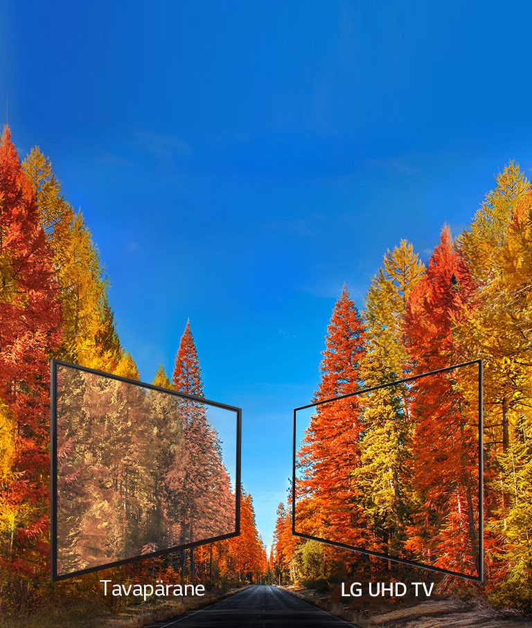 Püsiv pilt iga nurga all<br>2