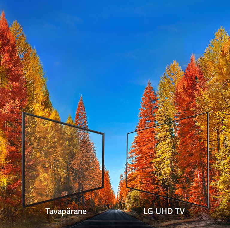 Püsiv pilt iga nurga all.<br>2