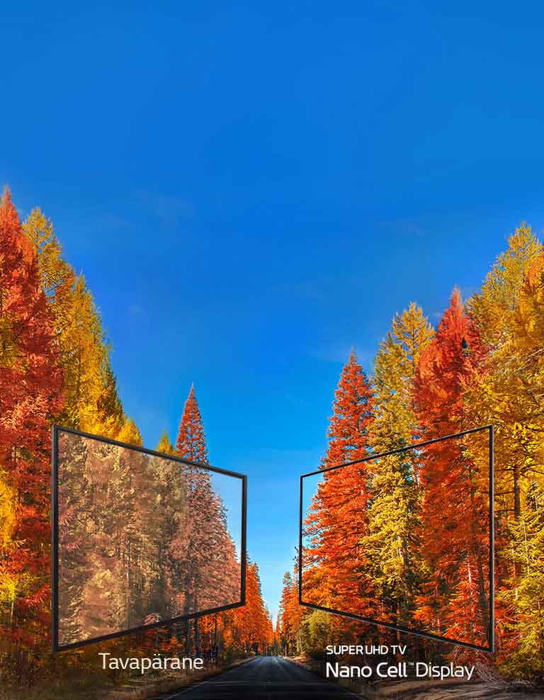 Kogu tõde värvidest teleris<br>2