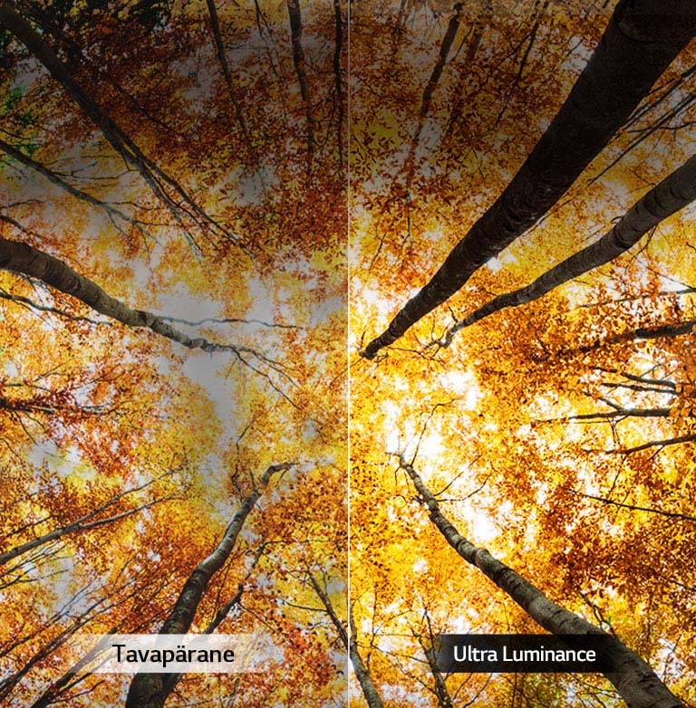 Suurendatud tipp-heledus<br>2