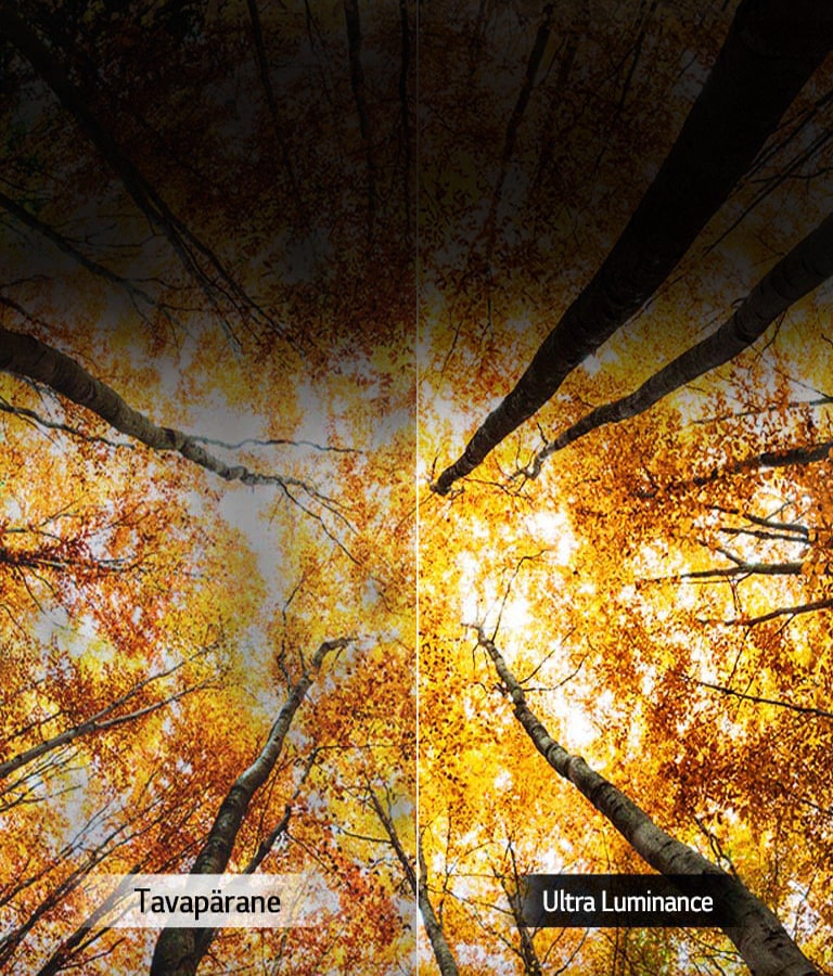 Suurendatud tipp-heledus2