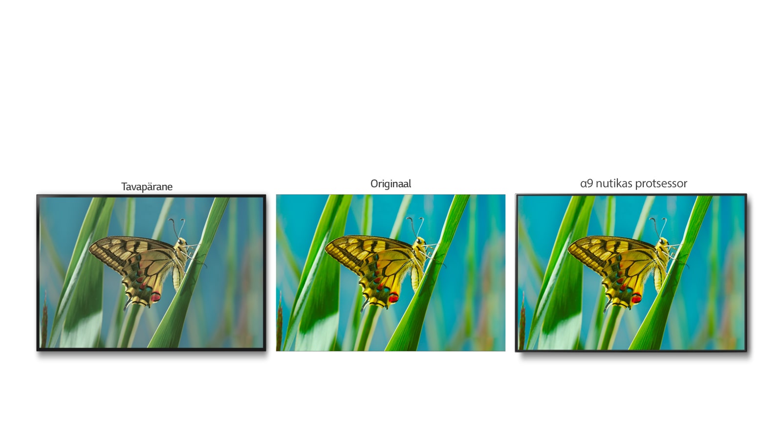 06_Alpha9_Color_Accuracy_desktop