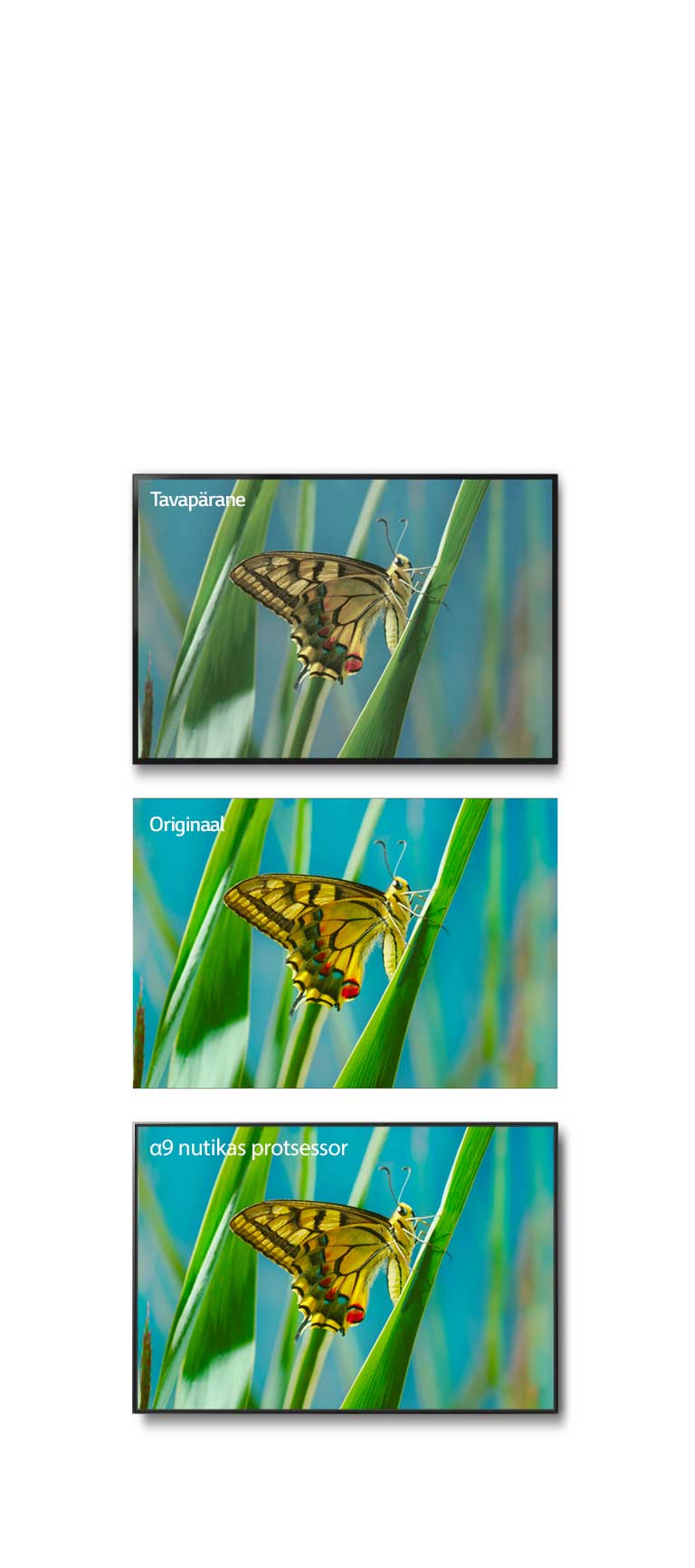 True Color Accuracy Pro2