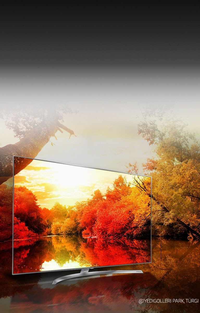 Miljardi rikkaliku tooniga muljetavaldavad värvid2