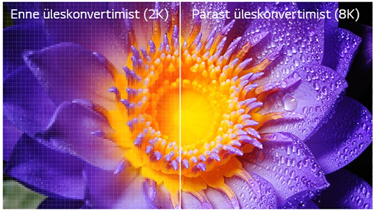 Lille kujutis originaalses 2K-resolutsiooniga vasakul ja 8K-ni üleskonverdituna paremal.