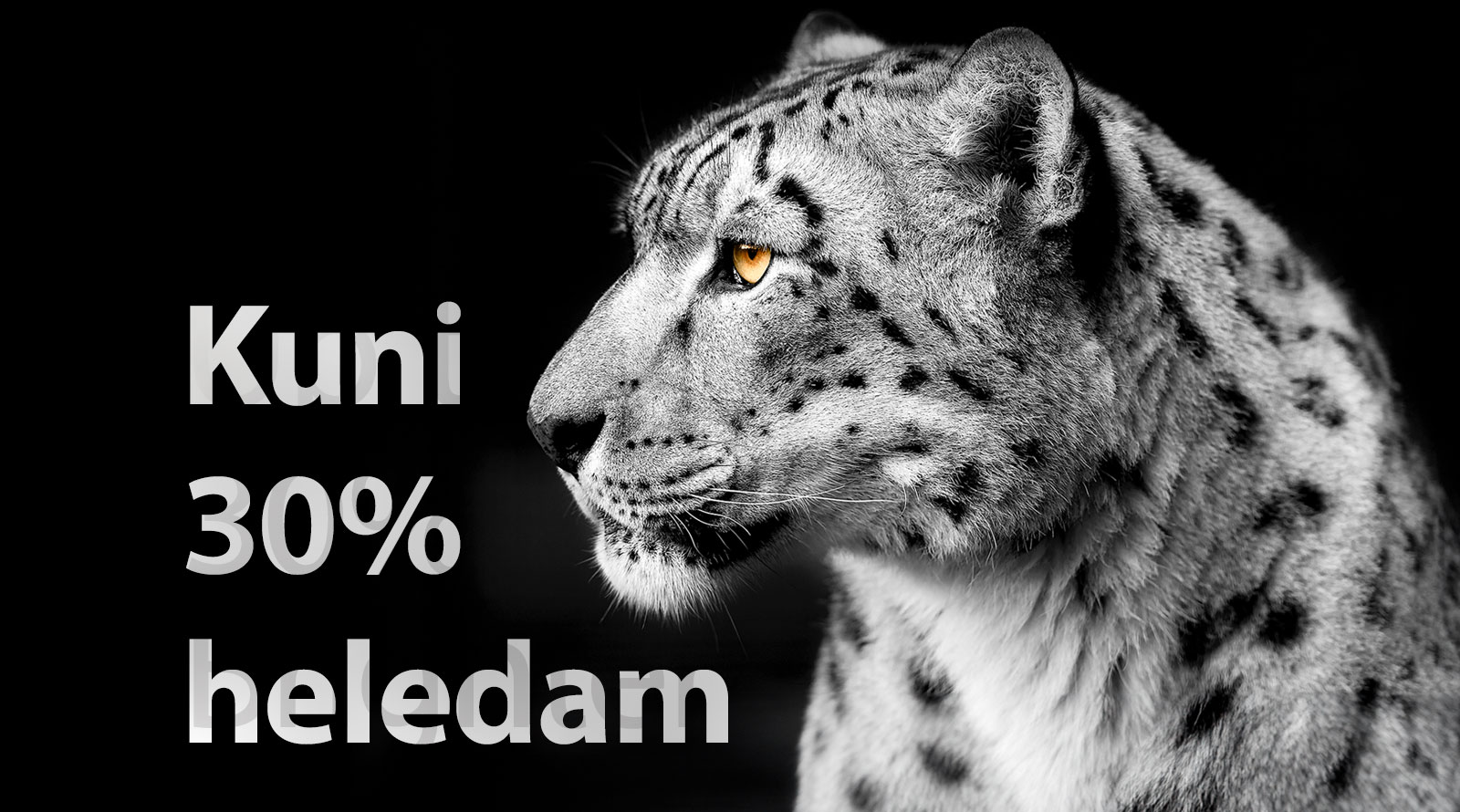 Valge leopard, mis näitab kujutise vasakus servas oma külge. Vasakul on sõnad "Up to 30% brighter" (Kuni 30% heledam).