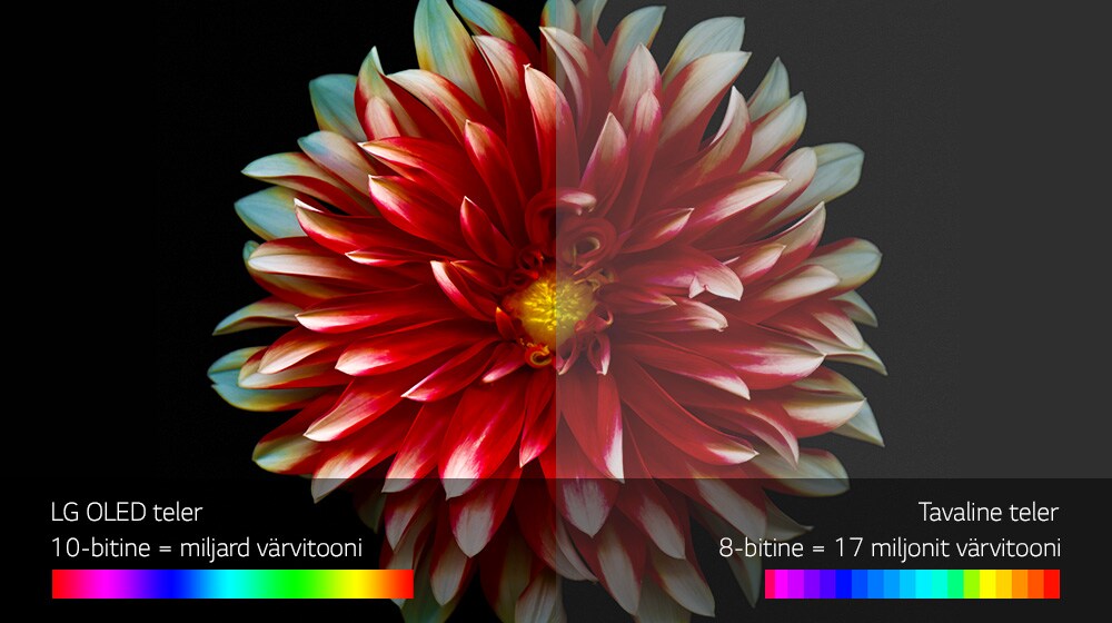 OLED65G7V_Perfect_Color_on_Perfect_Black_230717_sub