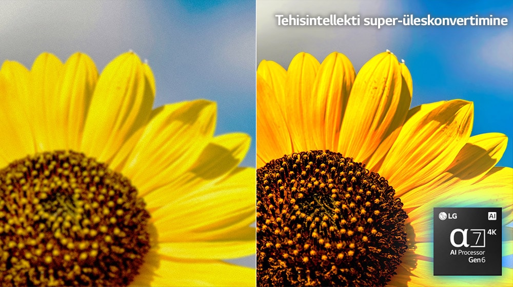 Poolitatud ekraani parem ja vasak pool näitavad päevalille pilti. Paremal olev pilt, millel on aktiveeritud AI Picture Pro, on heledam ja selgem.