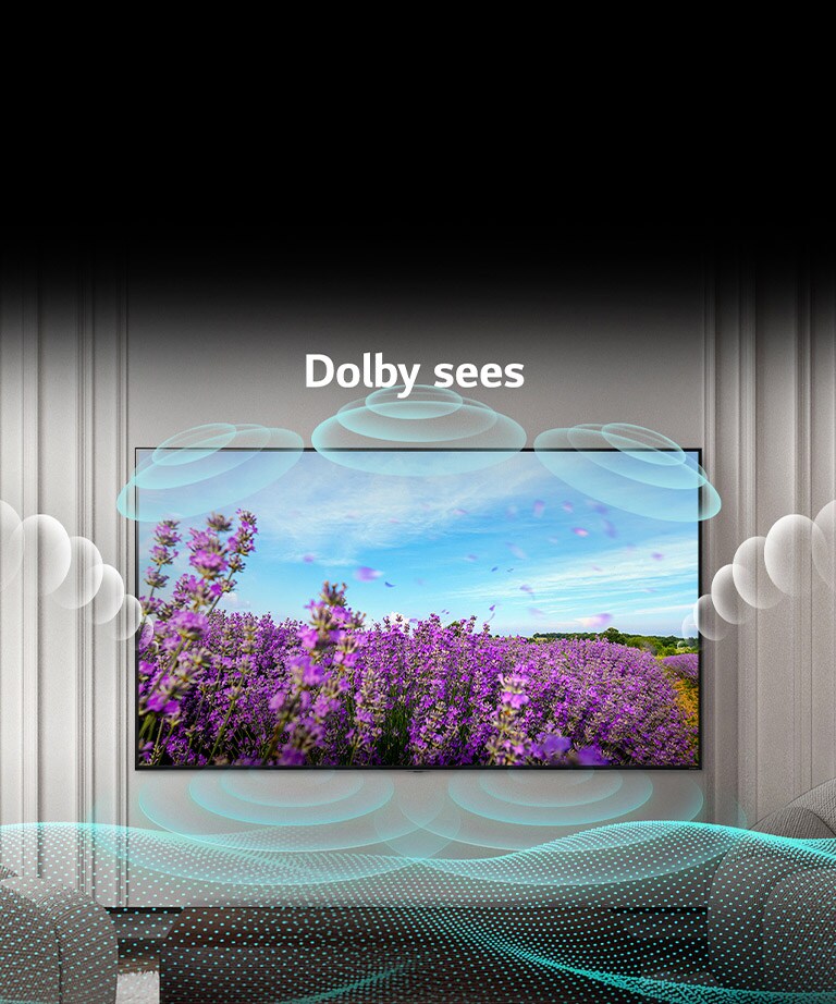 QNEDi teleekraanil on roosad rapsiõied suvepõllul ja keskel on tekst „Dolby väljas“. Ekraanipilt muutub heledamaks ja ilmub tekst „Dolby sees“.