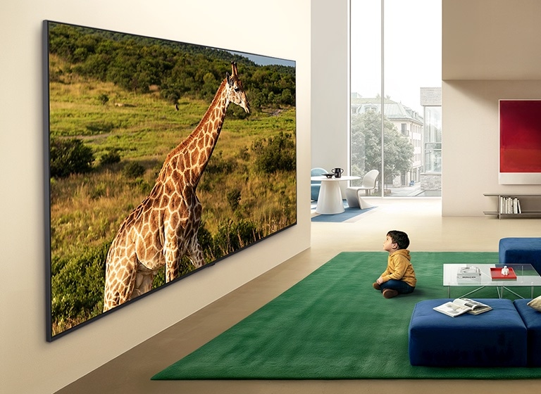 LG QNED evo AI QNED85 Mini LED Ultra Big TV on paigaldatud seinale ergas elutoas, kuvades žiraafi loodusmaastikul elava detailsusega, mis rõhutab kaasahaaravat mastaapi ja kohalolu läheduses istuva lapse jaoks.