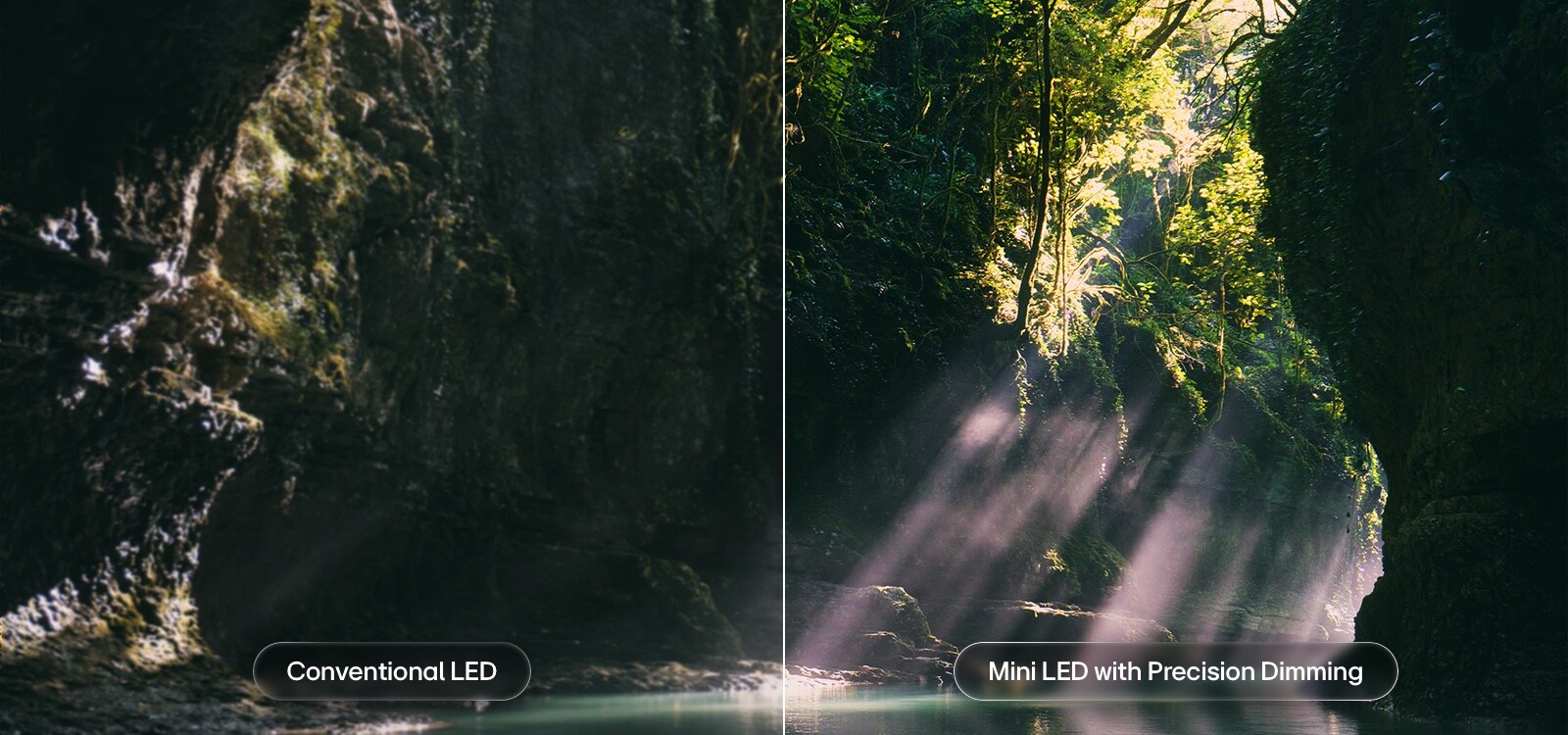 LG QNED evo AI QNED85 Mini LED tõstab esile Mini LED koos Precision Dimming'iga poolitatud metsastseenis, võrreldes tavalist LED-i sügavamate mustade ja viimistletumama kontrastiga, kuna päikesevalgus filtreerib läbi puude, pakkudes suuremat selgust ja sügavust.