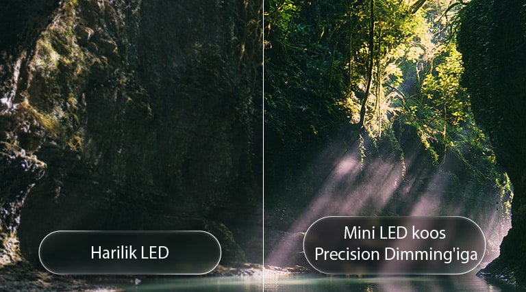 LG QNED evo AI QNED85 Mini LED tõstab esile Mini LED koos Precision Dimming'iga poolitatud metsastseenis, võrreldes tavalist LED-i sügavamate mustade ja viimistletumama kontrastiga, kuna päikesevalgus filtreerib läbi puude, pakkudes suuremat selgust ja sügavust.