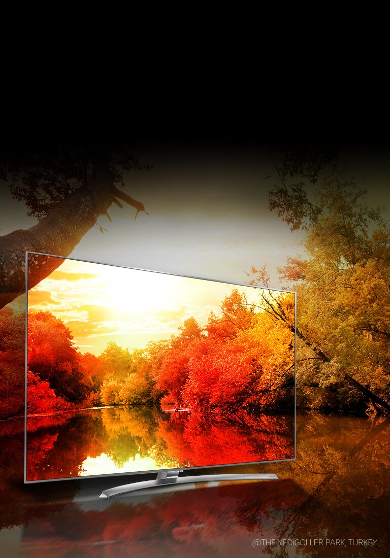 Miljardi rikkaliku tooniga muljetavaldavad värvid