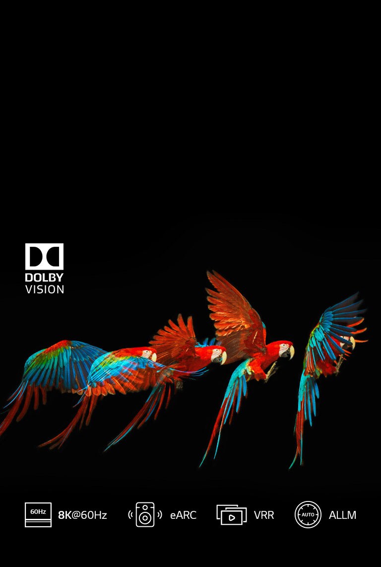 HDMI 2.1* Essential for 8K2