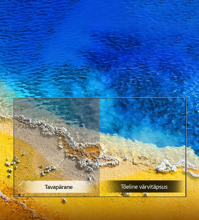 Tõeline värvitäpsus2