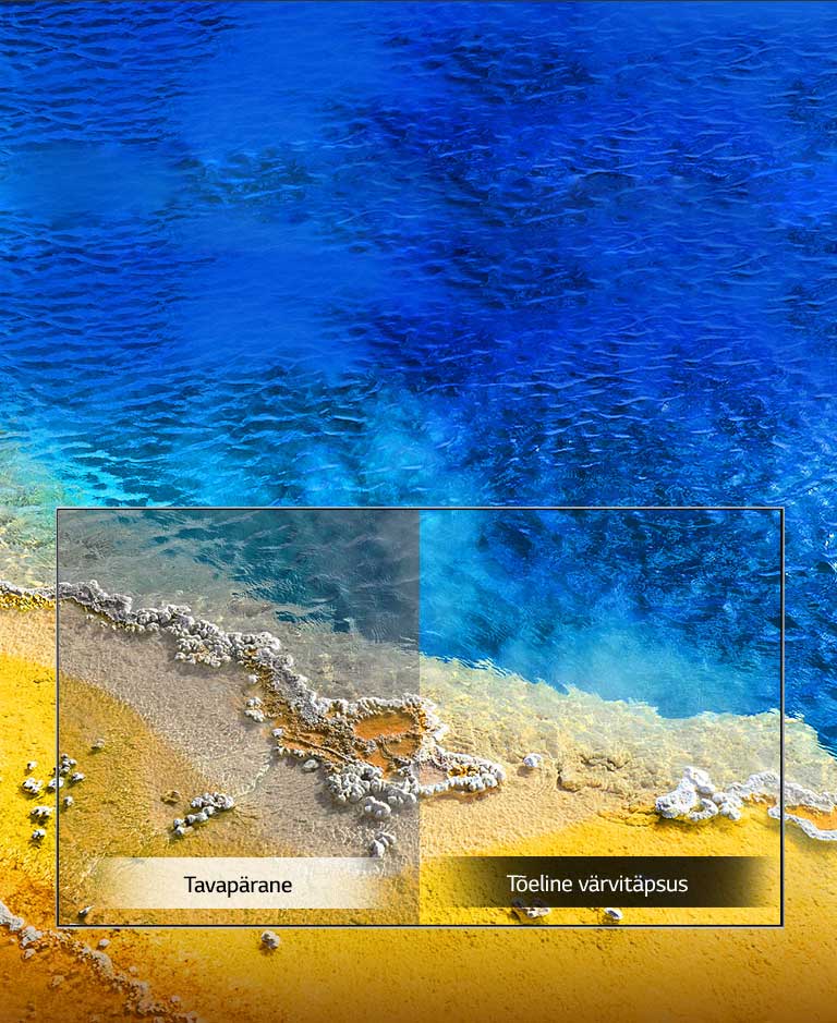 Tõeline värvitäpsus<br>2