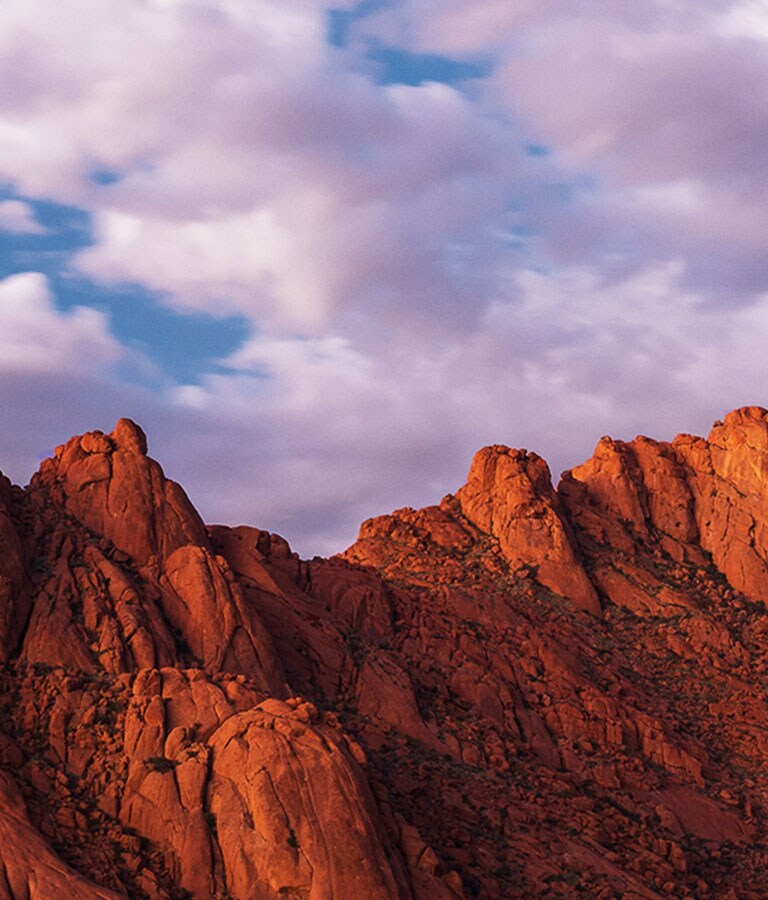 Värvilise linnutiiva pisidetailide lähivaadet täiustab α5 Gen7 AI-protsessor 4K.