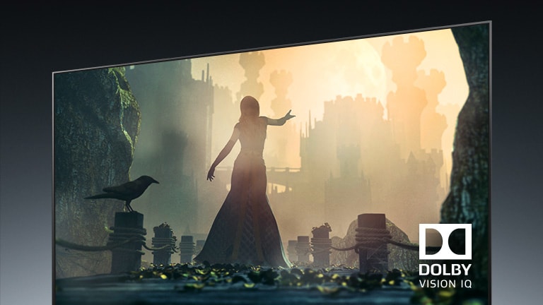 Teleriekraan, millel on kujutatud tänaval tantsivat rahvariietes naist.