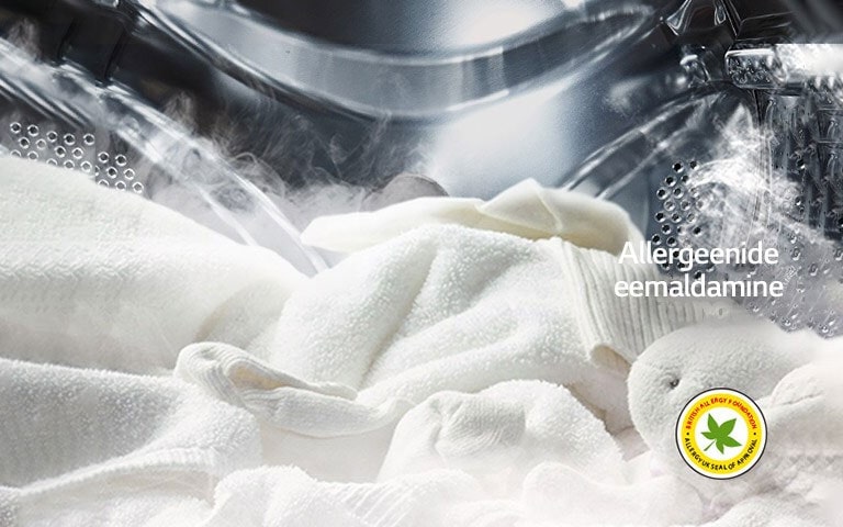 Pesumasina trumlis on kujutatud pehmet valget hommikumantlit ja pehmet mänguasja läbi auru.