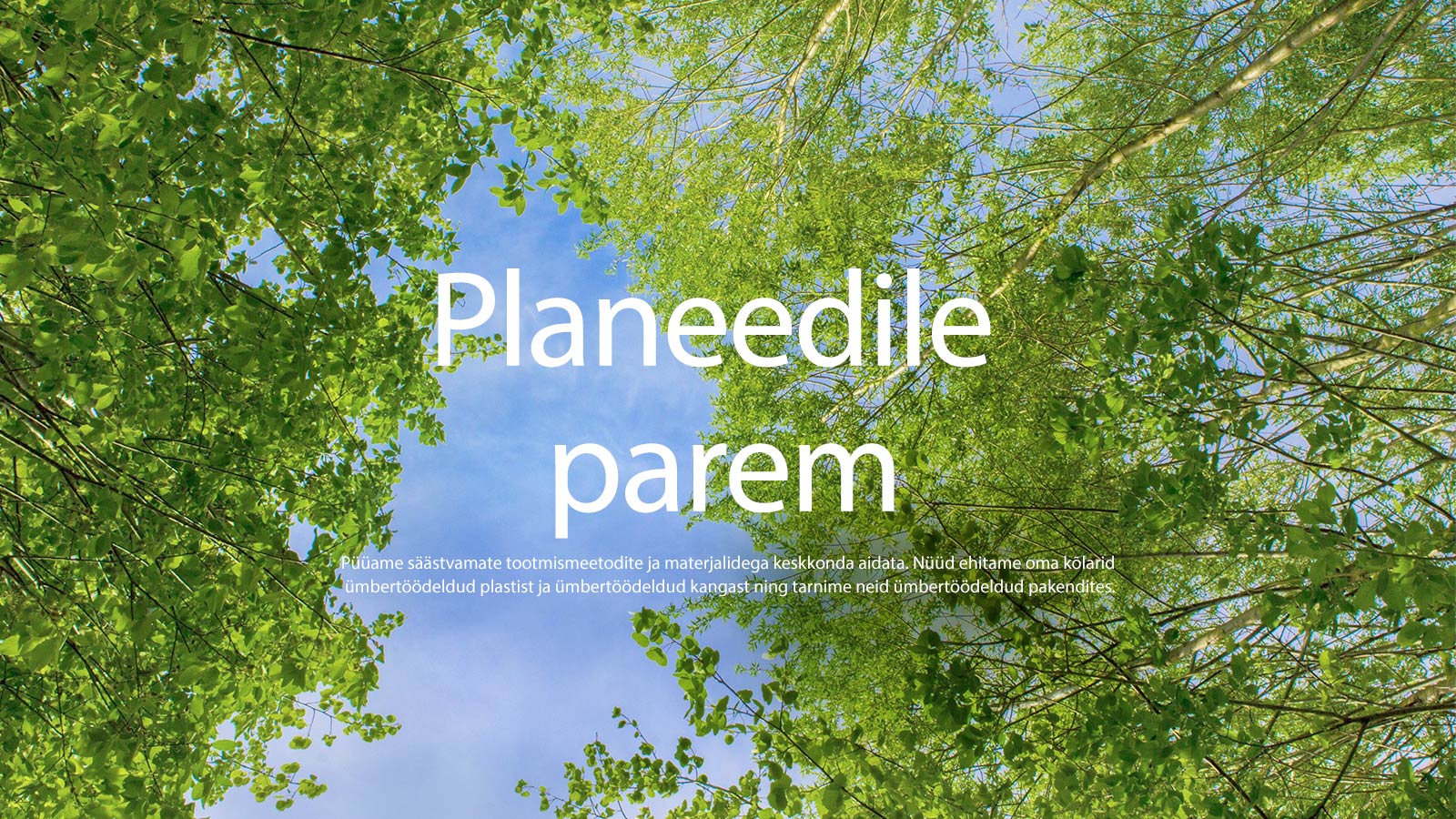 Roheline pilt, millel on lopsakad lehti täis puud, nende vahelt paistab taevas.