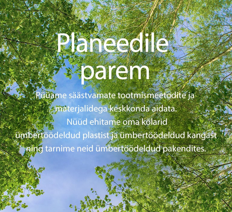 Roheline pilt, millel on lopsakad lehti täis puud, nende vahelt paistab taevas.