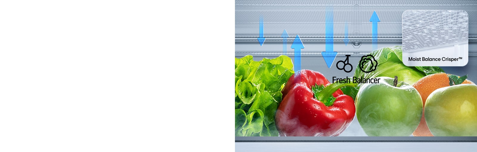 LG alumise sügavkülmaosa (GBBS322CPY) Fresh Balancer, milles hoitakse lehtsalatit, paprikat, apelsini ja õunu, koos üles-alla nooltega ning Moist Balance Crisper lähivaates	