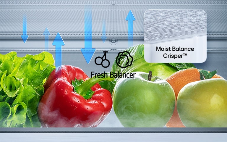 LG alumise sügavkülmaosa (GBBS322CPY) Fresh Balancer, milles hoitakse lehtsalatit, paprikat, apelsini ja õunu, koos üles-alla nooltega ning Moist Balance Crisper lähivaates	