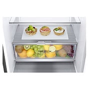 LG GBB7 seeria 341L No-Frost külmik, kõrgus 186cm, GBB71PZDZN, thumbnail 4