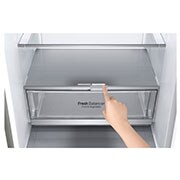 LG GBB7 seeria 384L No-Frost külmik, kõrgus 203cm, GBB72SADFN, thumbnail 13