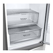 LG GBB7 seeria 384L No-Frost külmik, kõrgus 203cm, GBB72NSDFN, thumbnail 3