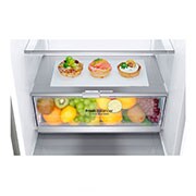 LG GBB7 seeria 384L No-Frost külmik, kõrgus 203cm, GBB72SAEFN, thumbnail 8