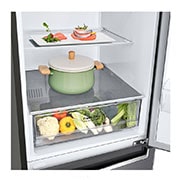 LG Külmik  | 1.86m | 341 | Hõbedane | E klass | DoorCooling | Total No Frost | GBP32DSKZN, GBP32DSKZN, thumbnail 3