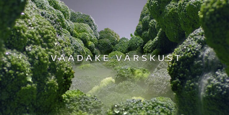 REF-Vplus-MetaltouchSTS-02-2-LinearCooling-Mobile