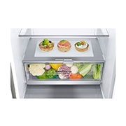 LG Külmik  | 2.03m | 384 | Hõbedane | B klass | DoorCooling | Total No Frost | GBB92STABP, GBB92STABP, GBB92STABP, thumbnail 5